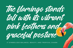 Sattyne Bregast Bold Brush Font Type Product Image 9