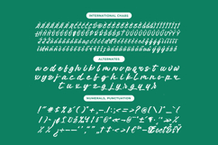 Sattyne Bregast Bold Brush Font Type Product Image 13