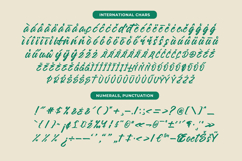 Sattyne Bregast Bold Brush Font Type Product Image 14
