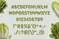 Sawira Organic Display Font Product Image 8