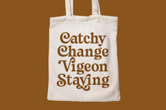 Sayin Cherik - Vintage Serif Font Product Image 2