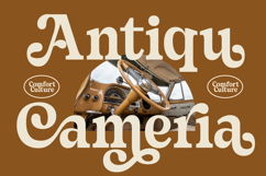 Sayin Cherik - Vintage Serif Font Product Image 4