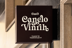 Sayin Cherik - Vintage Serif Font Product Image 10