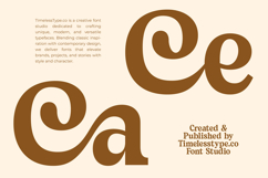 Sayin Cherik - Vintage Serif Font Product Image 11