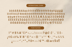 Sayin Cherik - Vintage Serif Font Product Image 13