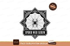 Silver Spider Web Frame deco Product Image 1