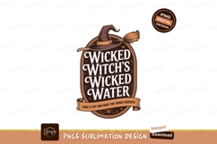 Wicked Witch Water Hat Broom image Product Image 1