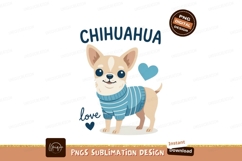 Cute chihuahua wearing sweater animal Product Image 1