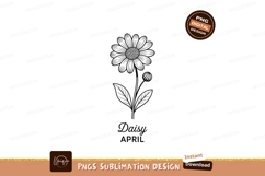 Daisy flower outline sketch botanical Product Image 1