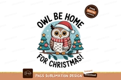 Festive owl wearing santa hat and scarf christmas Product Image 1