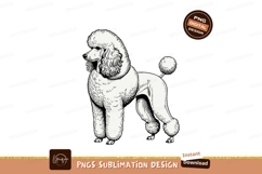Elegant white poodle standing proudly black illustration Product Image 1