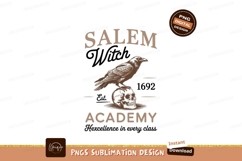 Salem Witch Academy Raven Skull image Product Image 1