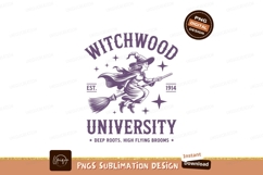 Witchwood University Flying Witch broom Product Image 1