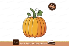 Orange pumpkin with green stem and leaves image Product Image 1