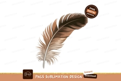 Brown feather with fluffy barbs quill soft Product Image 1