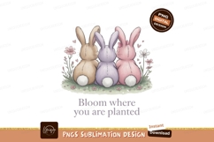 Three fluffy bunnies sitting together rabbits pastel Product Image 1