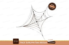 Delicate web with beaded strands spider silk Product Image 1