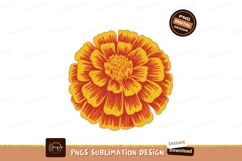 Orange yellow marigold flower illustration bloom Product Image 1