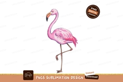 Pink flamingo standing on one leg bird tropical Product Image 1