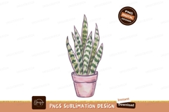 Snake plant in pink pot green Product Image 1