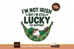Lucky Gnome Napping In Hammock green Product Image 1