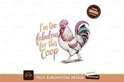 Fabulous Rooster chicken bird Product Image 1