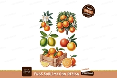 Citrus fruits oranges limes blossoms leaves tree Product Image 1