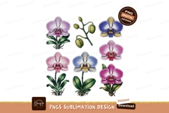 Orchid blooms and buds botanical illustration flowers Product Image 1