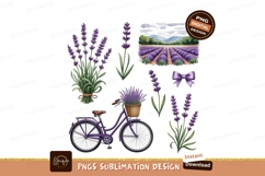 Purple lavender bouquet bicycle field bow flowers Product Image 1