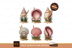 Seashells with grass and sand conch scallop Product Image 1
