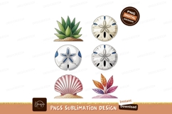 Beach Treasures And Plants sand shell Product Image 1