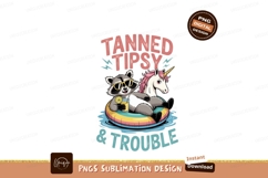 Raccoon unicorn floating summer fun image Product Image 1