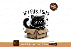 Fluffy black cat in cardboard box image Product Image 1