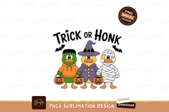 Halloween ducks trick or treating costumes Product Image 1