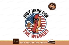 Cool hot dog with beer and flag hotdog sunglasses Product Image 1