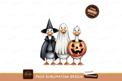 Ducks dressed for Halloween costumes witch Product Image 1