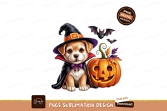 Adorable puppy dressed for Halloween costume witch Product Image 1