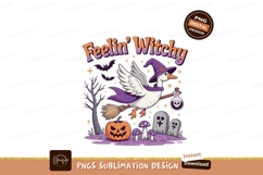 Witchy goose flying on broomstick potion Product Image 1