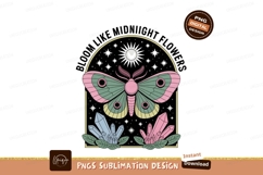 Luna Moth Crystals Celestial Arch image Product Image 1