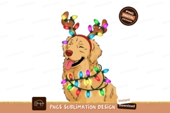 Pig wearing festive holiday lights christmas Product Image 1