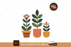 Potted plants green leaves orange flowers image Product Image 1
