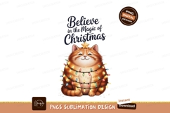 Fluffy cat wearing Christmas lights festive holiday Product Image 1