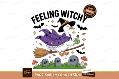 Goose witch flying potion broom image Product Image 1