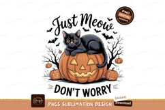 Black cat on jack o lantern pumpkin halloween Product Image 1