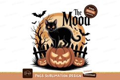 Black cat on pumpkin Halloween night image Product Image 1