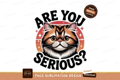 Fluffy Persian cat face with orange sun image Product Image 1