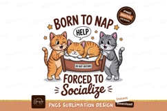 Orange and gray cats born to nap forced to socialize Product Image 1