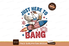 Patriotic goose riding rocket with beer american Product Image 1
