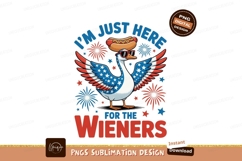 Patriotic goose with hot dog and fireworks hotdog sunglasses Product Image 1
