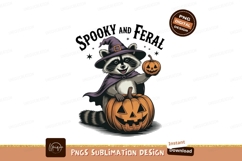 Raccoon witch with pumpkins cape Product Image 1